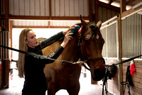 Jaime ~ equine hands on training